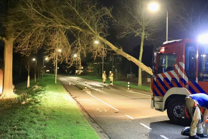 Weg afgesloten door omgevallen bomen