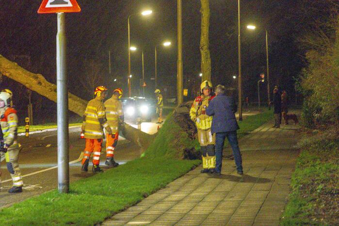 Weg afgesloten door omgevallen bomen