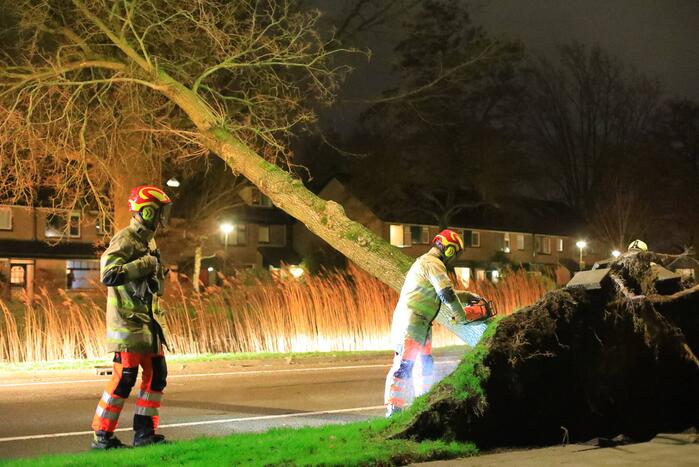 Weg afgesloten door omgevallen bomen