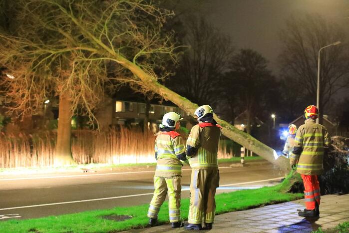 Weg afgesloten door omgevallen bomen
