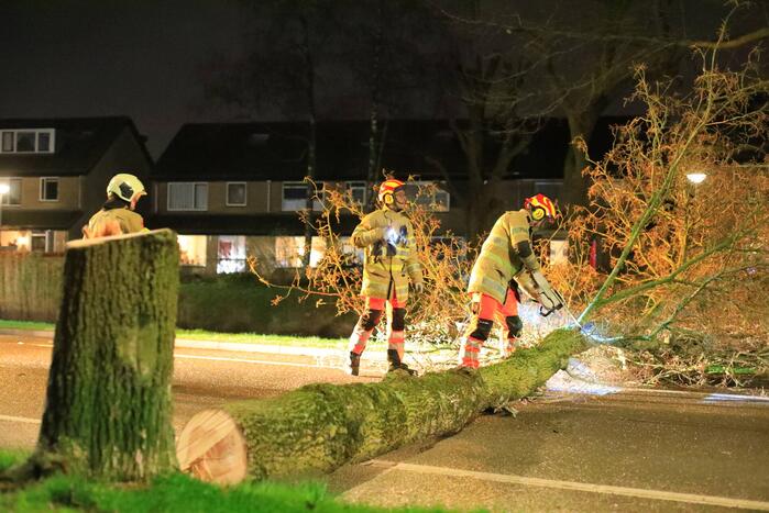 Weg afgesloten door omgevallen bomen