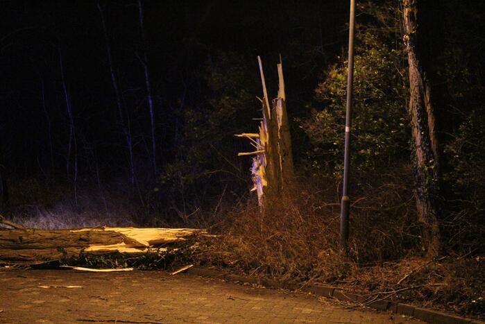 Boom valt om op terrein bij tankstation