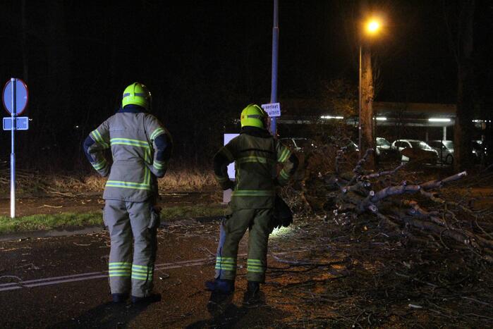 Boom valt om op terrein bij tankstation