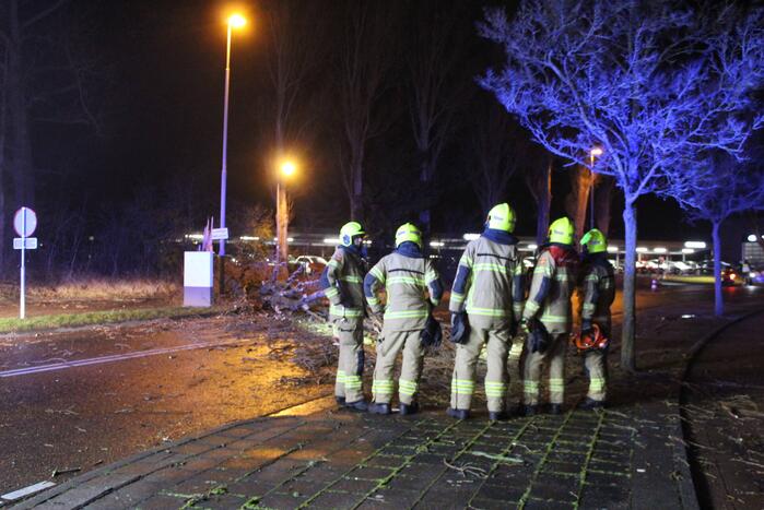Boom valt om op terrein bij tankstation