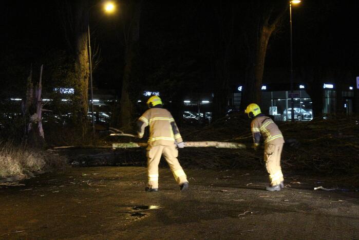 Boom valt om op terrein bij tankstation
