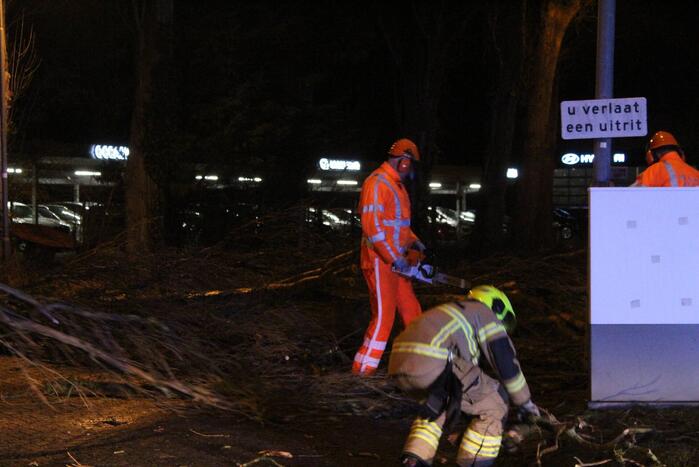 Boom valt om op terrein bij tankstation