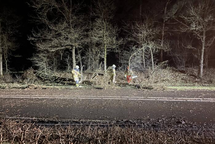 Brandweer verwijdert boom op weg