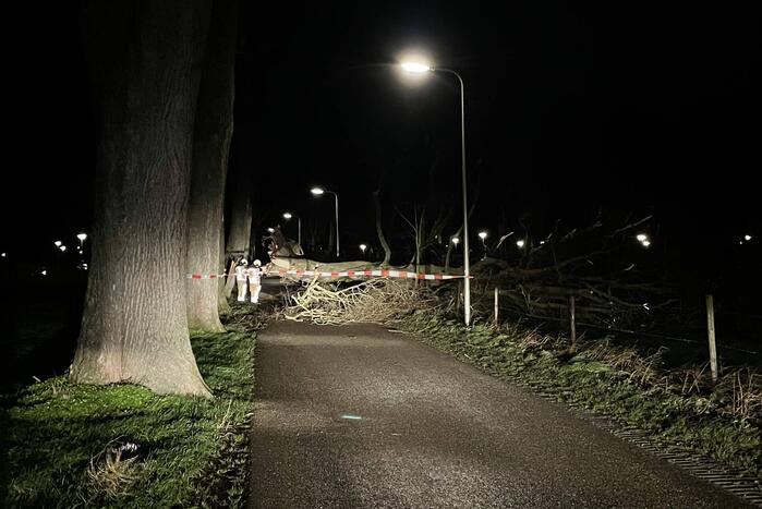 Brandweer verwijdert omgevallen boom