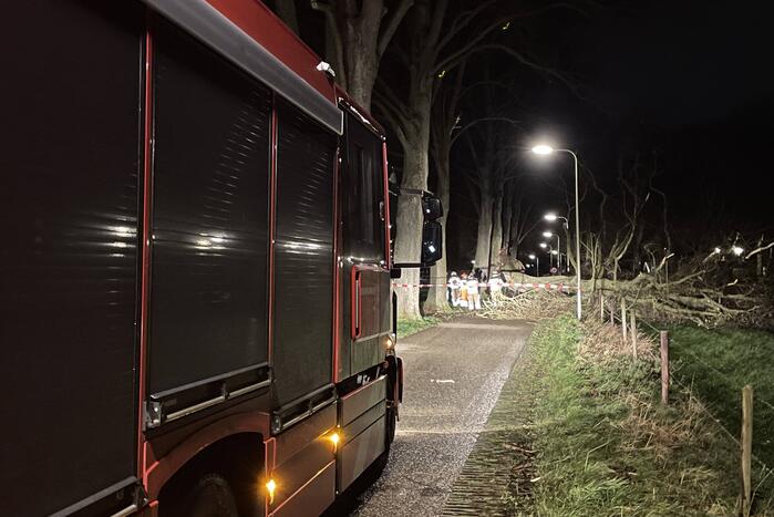 Brandweer verwijdert omgevallen boom