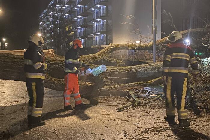 Grote boom omgewaaid in woonwijk