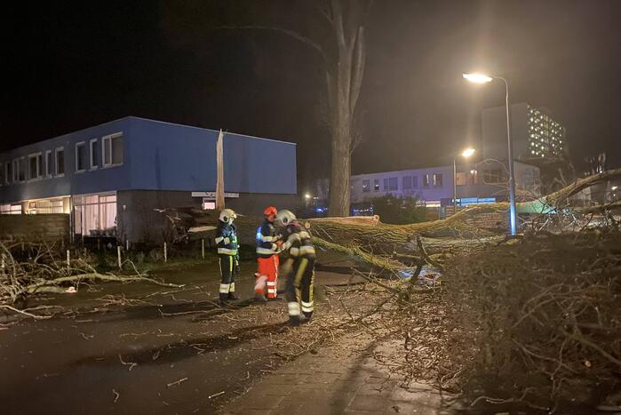 Grote boom omgewaaid in woonwijk