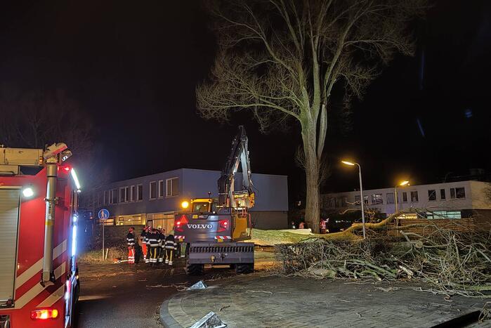 Grote boom omgewaaid in woonwijk