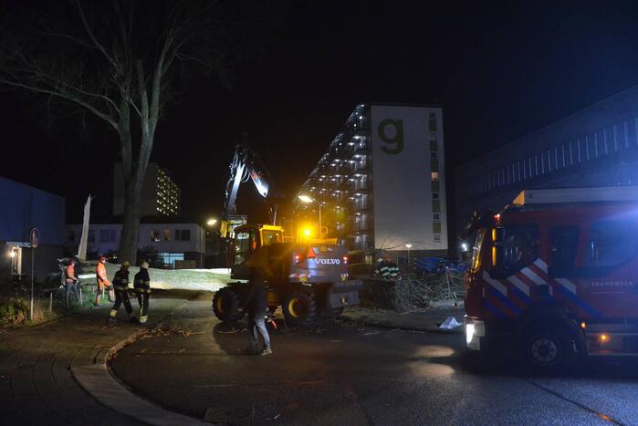 Grote boom omgewaaid in woonwijk