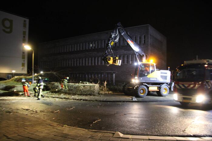 Grote boom omgewaaid in woonwijk