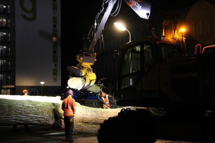 Grote boom omgewaaid in woonwijk