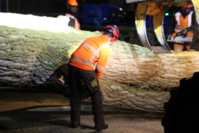 Grote boom omgewaaid in woonwijk