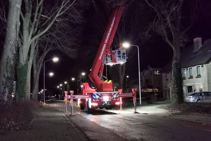 Grote boom dreigt om te vallen