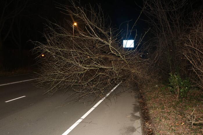 Omgevallen boom blokkeert weg