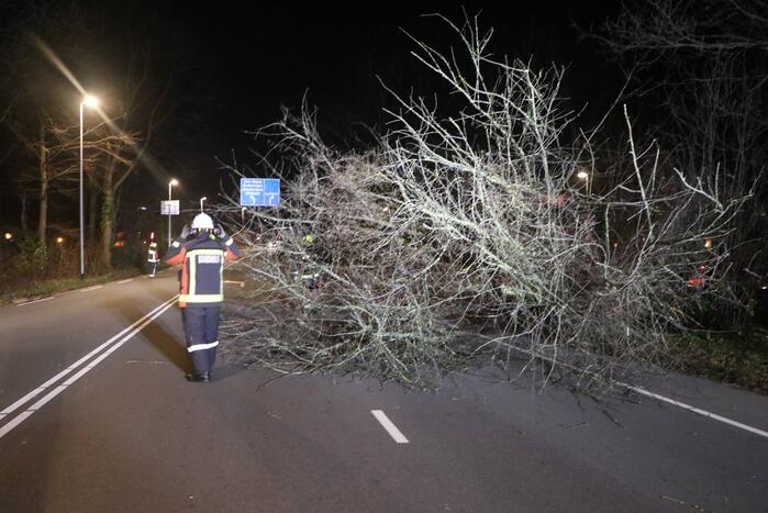 Omgevallen boom blokkeert weg