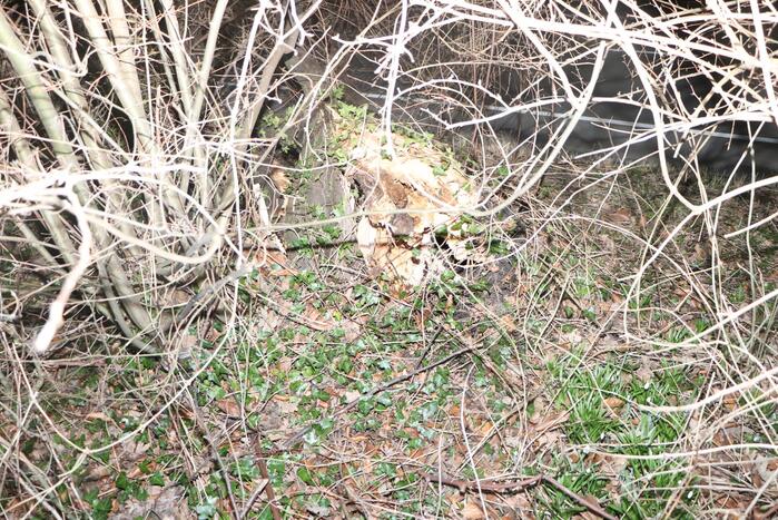 Omgevallen boom blokkeert weg