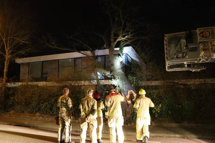Grote boom valt op woonhuis