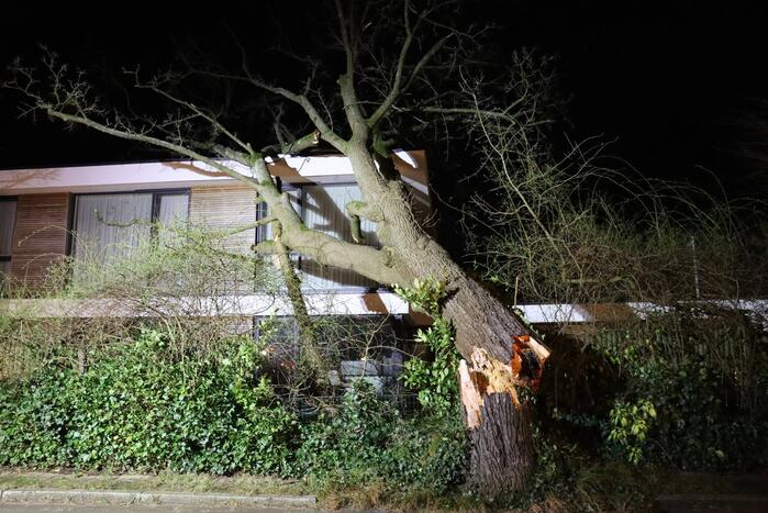 Grote boom valt op woonhuis