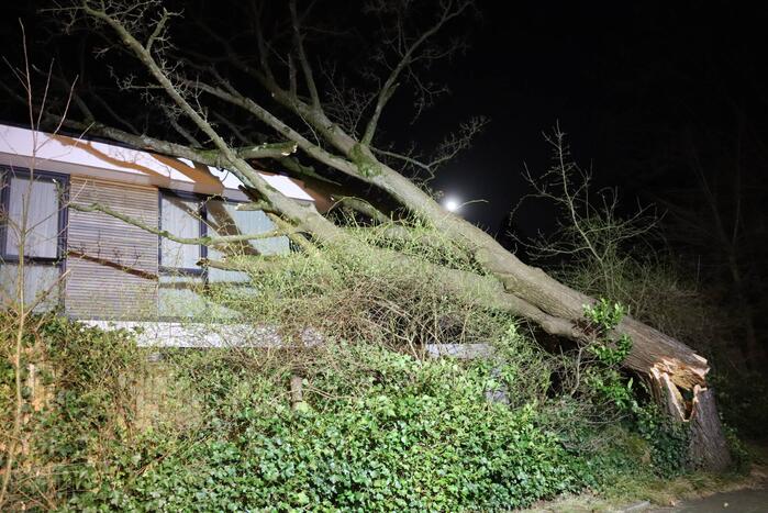 Grote boom valt op woonhuis