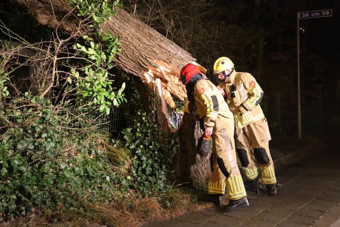 Grote boom valt op woonhuis