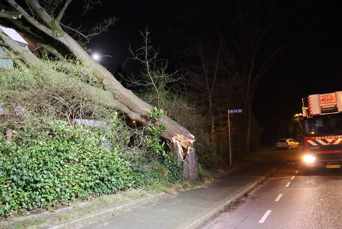 Grote boom valt op woonhuis