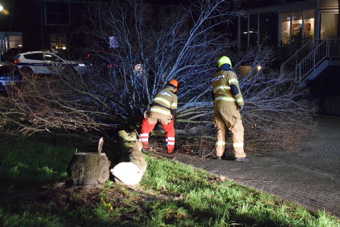 Brandweer zaagt boom omver