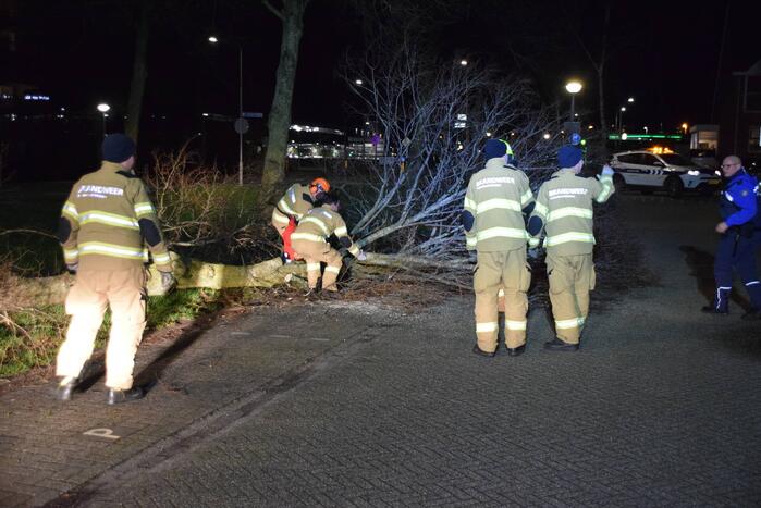Brandweer zaagt boom omver