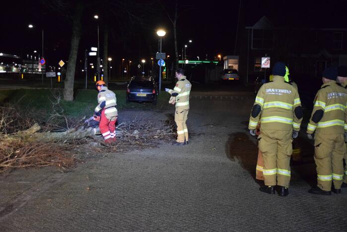 Brandweer zaagt boom omver