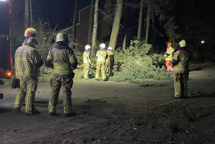 Brandweer verwijdert boom over de weg