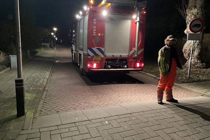 Brandweer stelt boom veilig