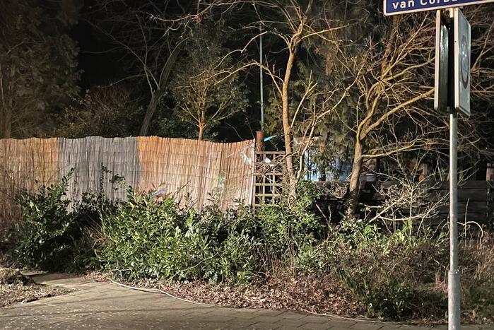 Brandweer stelt boom veilig