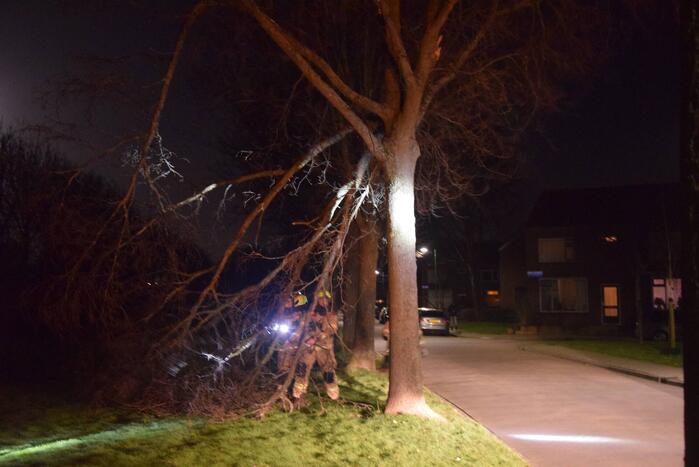 Grote tak dreigt op weg te vallen