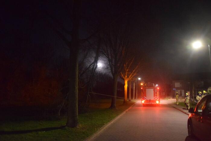 Grote tak dreigt op weg te vallen