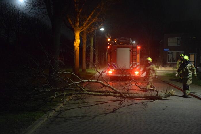 Grote tak dreigt op weg te vallen