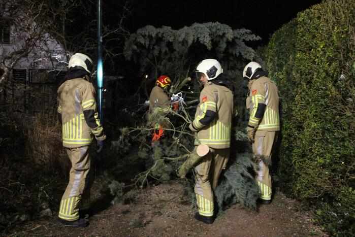 Omgevallen boom blokkeert fietspad