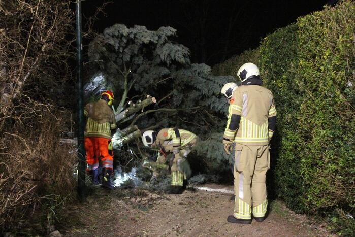 Omgevallen boom blokkeert fietspad