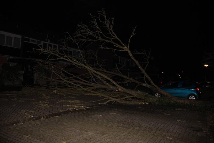 Omgevallen boom in stukken gezaagd door brandweer