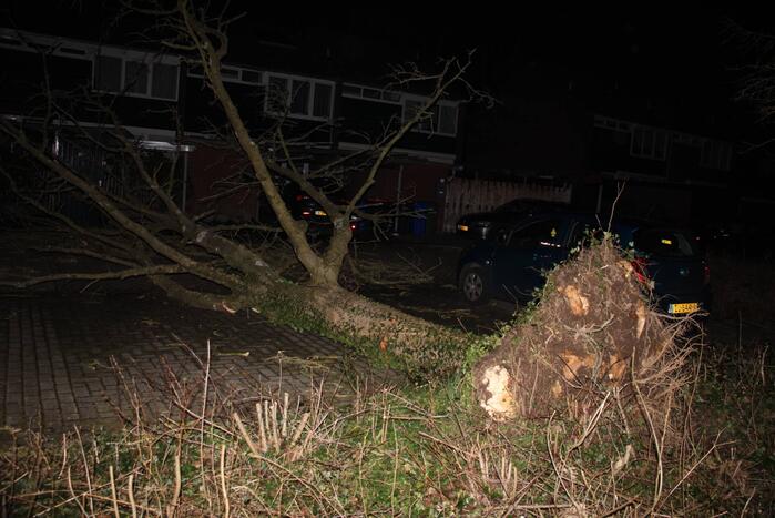 Omgevallen boom in stukken gezaagd door brandweer