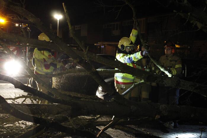 Omgevallen boom in stukken gezaagd door brandweer