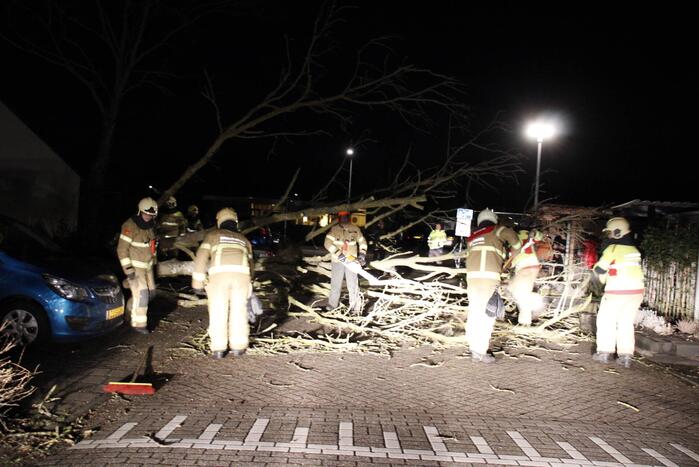 Omgevallen boom in stukken gezaagd door brandweer