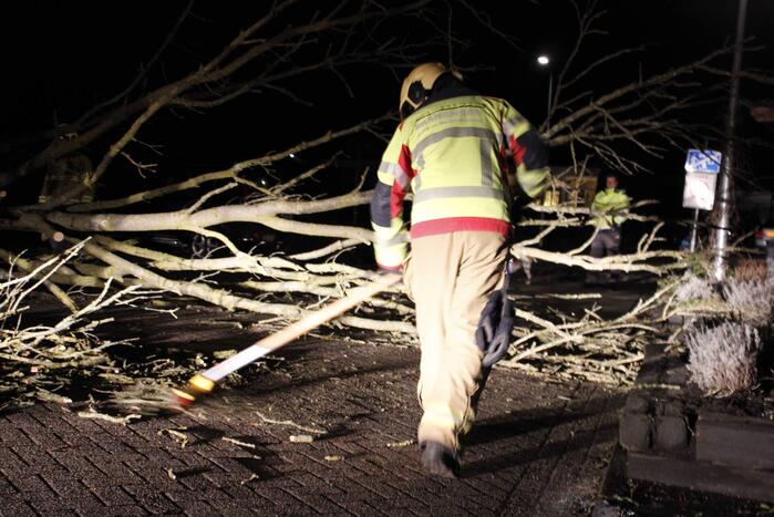 Omgevallen boom in stukken gezaagd door brandweer