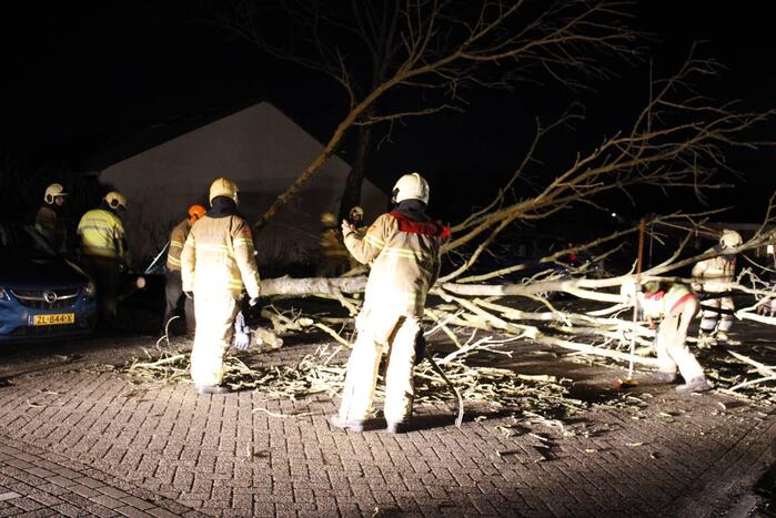 Omgevallen boom in stukken gezaagd door brandweer