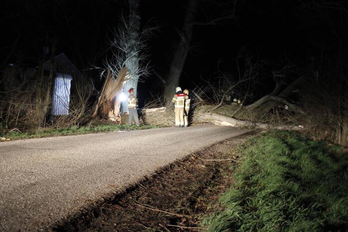 Brandweer zaagt grote boom in stukken