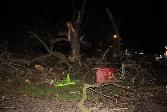 Brandweer zaagt grote boom in stukken