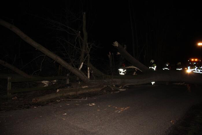 Brandweer zaagt grote boom in stukken
