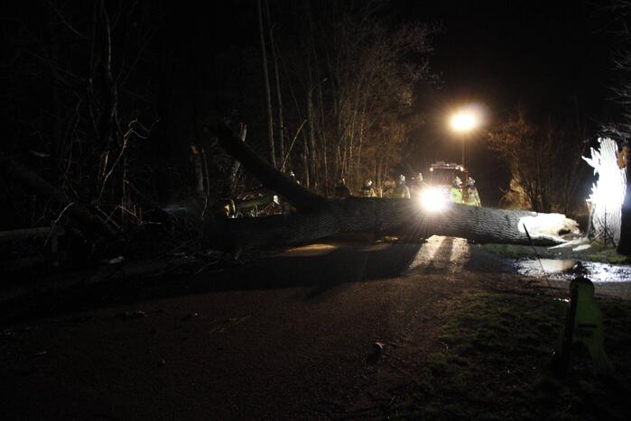 Brandweer zaagt grote boom in stukken